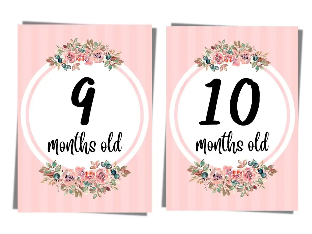baby girl milestone cards