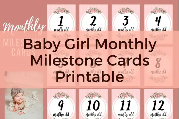 Baby Girl Monthly Milestone Cards Printable