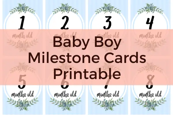 Baby Boy Monthly Milestone Cards Printable